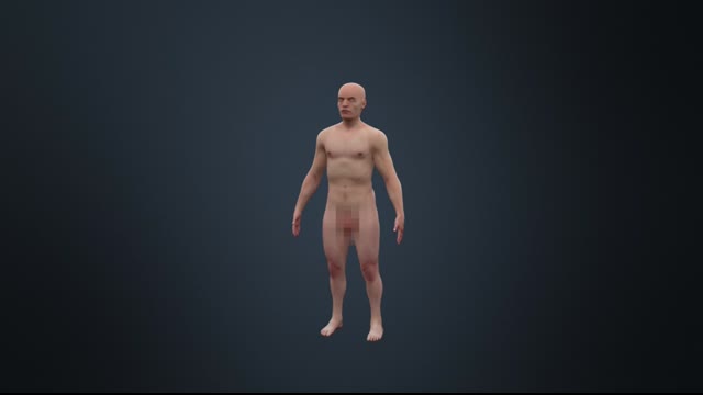 Human Nervous System (Part 1) - Spinal Cord and Periphery (Animation)