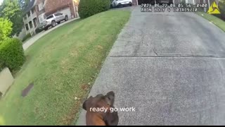 K-9 Pandora Finds Critical Missing Woman!