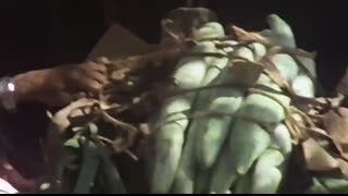 Duran Duran - Hungry like the Wolf (Official Music Video)