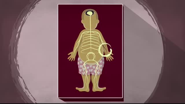 How does anesthesia work - Steven Zheng