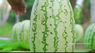 WATERMELON BUCKET CHICKEN   Chicken Cooked Inside the Bucket & Watermelon   Delicious Chicken Recipe