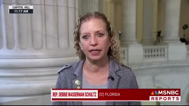 Democrats ‘are not just going to roll over’ to Musk & Trump on shutdown Rep. Wasserman Schultz