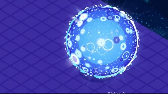 The Largest Star in the Universe – Size Comparison