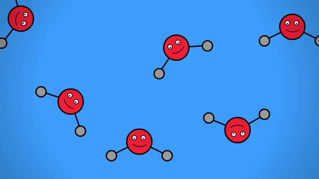 Why Can't Humans Drink Seawater