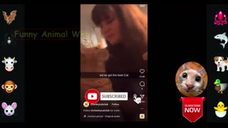 Ultimate Cat and Dog Videos! Funniest Pets of 2024 best compilation #8