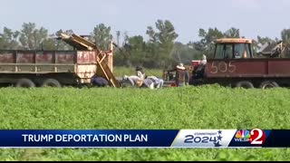 Trump's deportation plan raises concerns across Central Florida