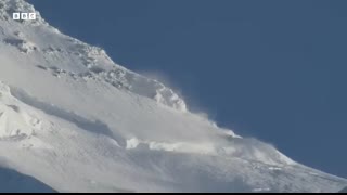 Frogs Race For Love   Planet Earth III   BBC Earth