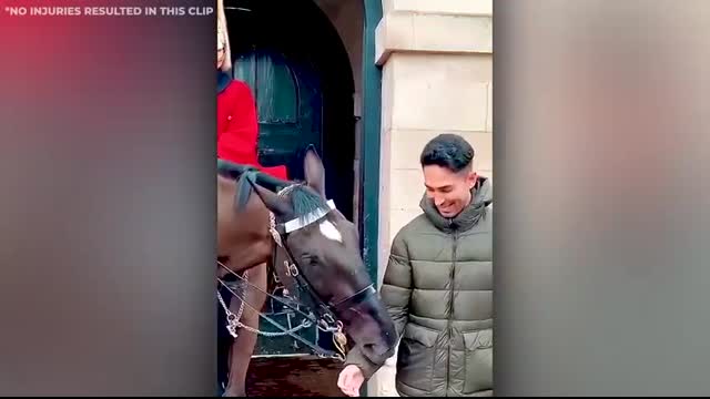 People Who Messed With The Royal Guard And Instantly Regret It !