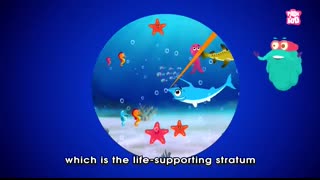 How Deep Is The Ocean   OCEAN DEPTH   Dr Binocs Show   Peekaboo Kidz