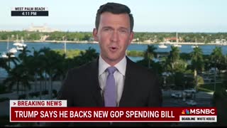 ‘Government is for grownups and Republicans are children’ Musk, Trump spark chaos on spending bill