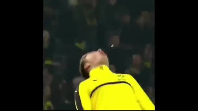 MOMENTS IF IT WERE NOT FILMED, NO ONE WOULD BELIEVE!