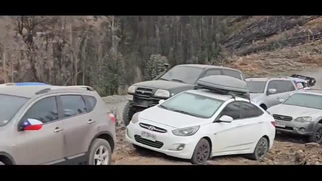 WRC 2024   OTT TÄNAK   BIO BIO CHILE   SS10 PELUN 2